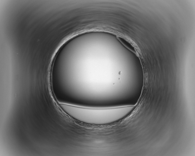 X0000094931530200711290951