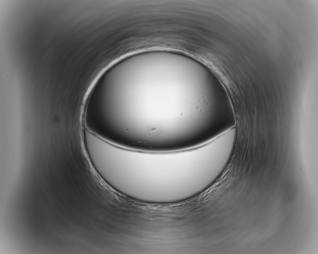 X0000094931532200711290951