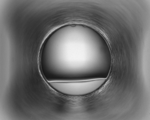 X0000094931533200711290951