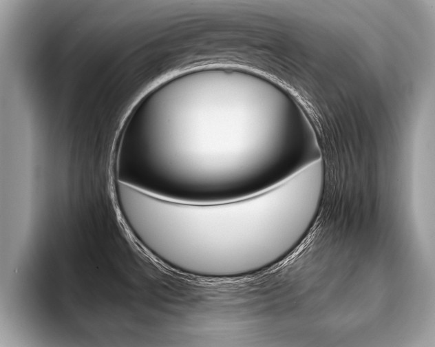 X0000094931534200711290951