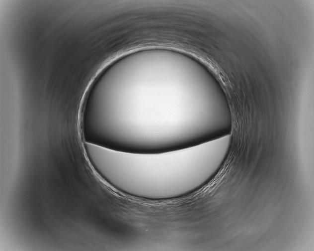 X0000094931535200711290951
