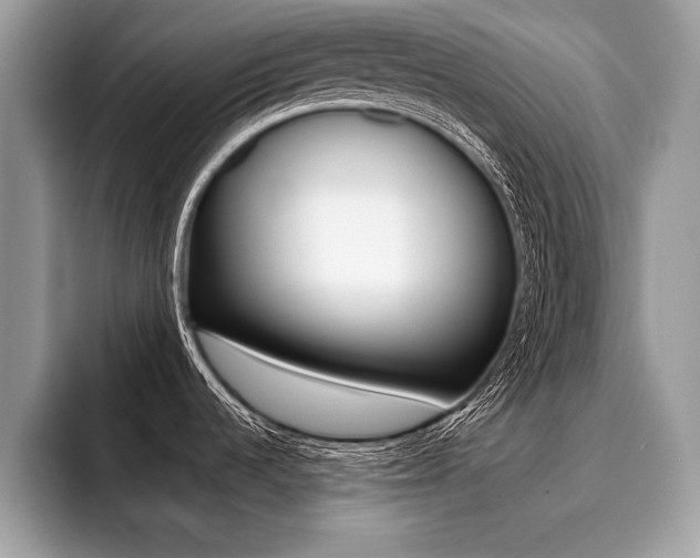 X0000094931536200711290951