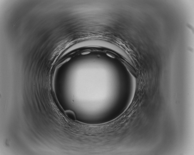X0000094930002200711291345