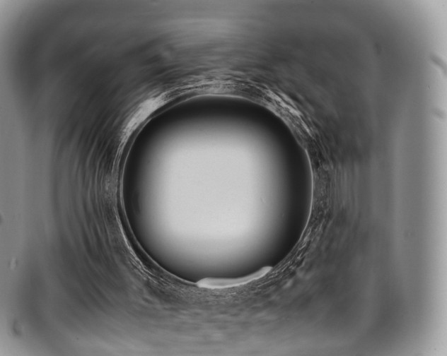 X0000094930003200711291345