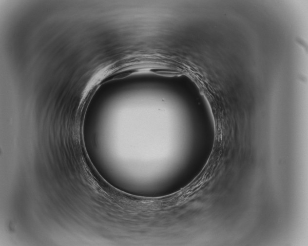 X0000094930004200711291345