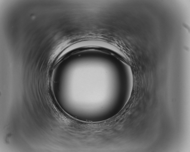 X0000094930005200711291345