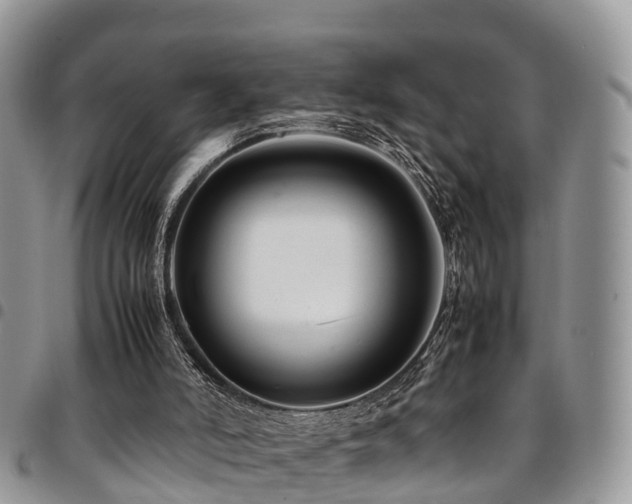 X0000094930006200711291345