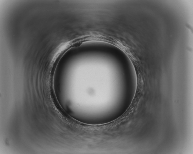 X0000094930007200711291345