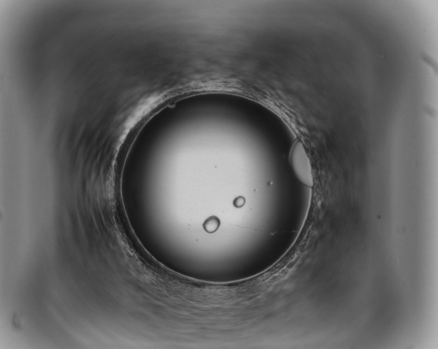 X0000094930008200711291345