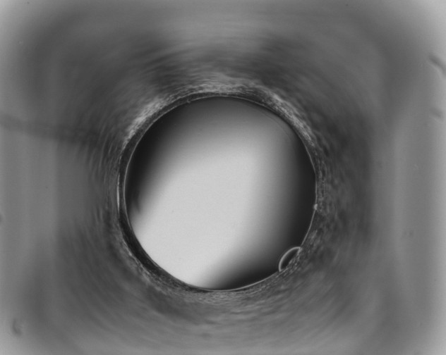 X0000094930011200711291345