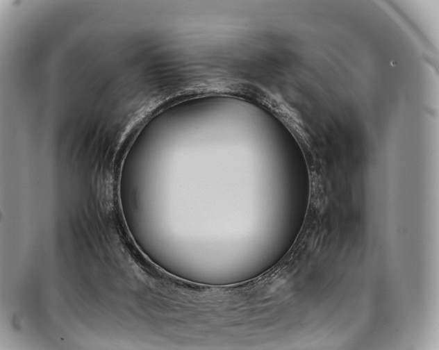 X0000094930012200711291344