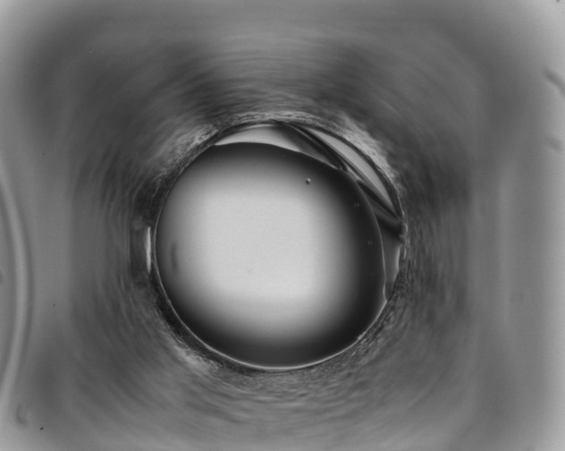 X0000094930013200711291344