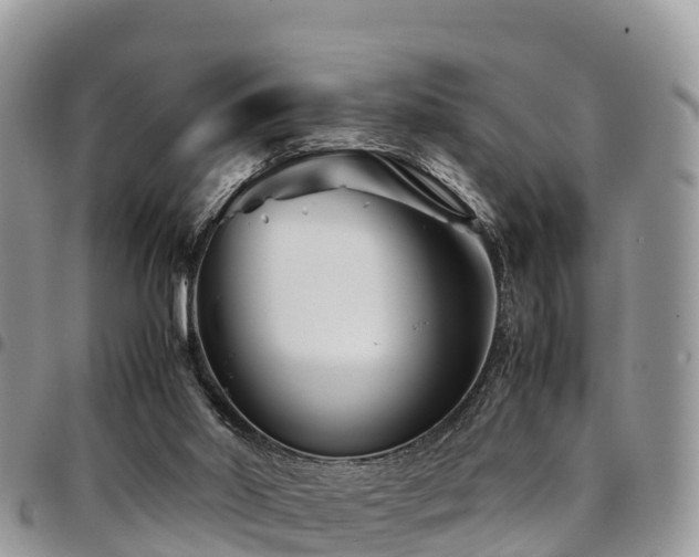 X0000094930014200711291344