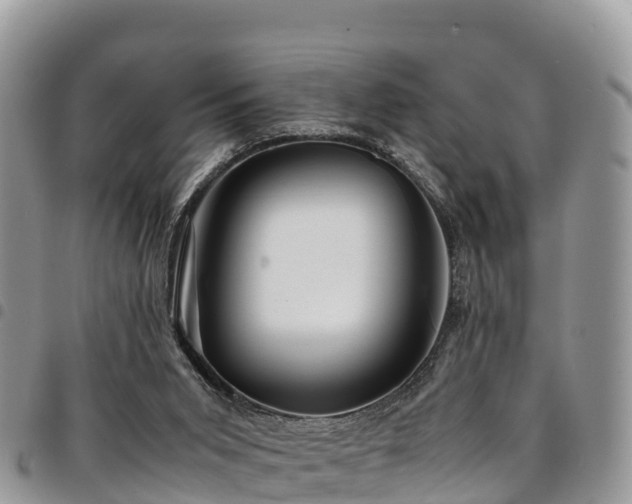 X0000094930015200711291344