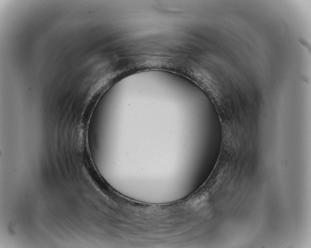 X0000094930016200711291344
