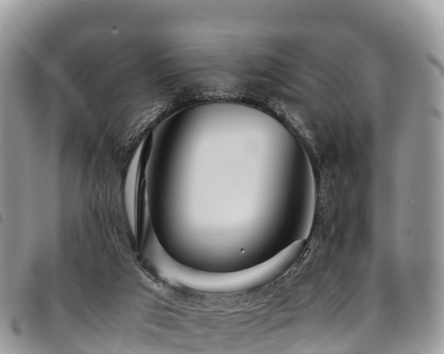 X0000094930017200711291344
