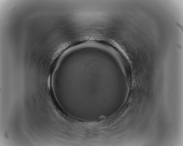 X0000094930019200711291344