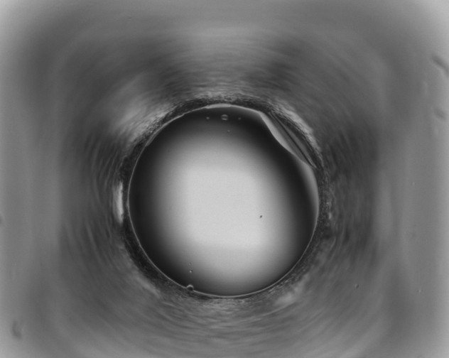 X0000094930020200711291344