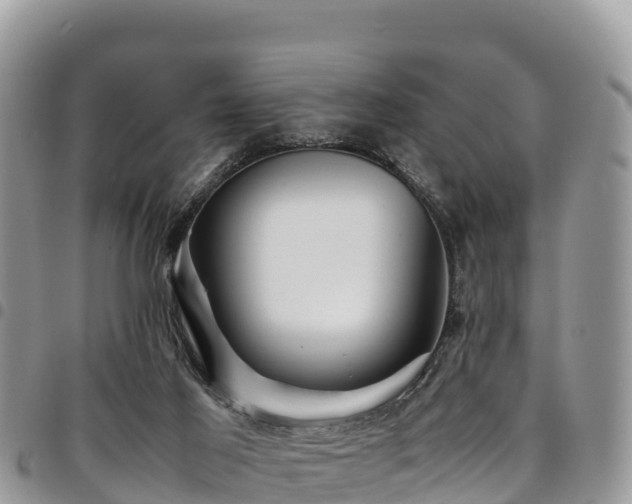 X0000094930021200711291344