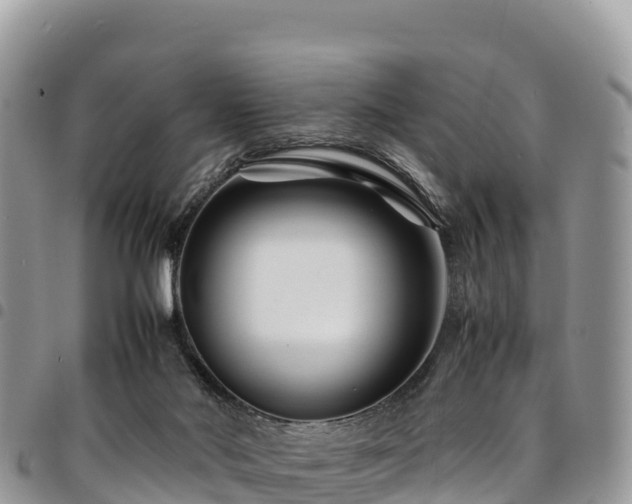 X0000094930022200711291344
