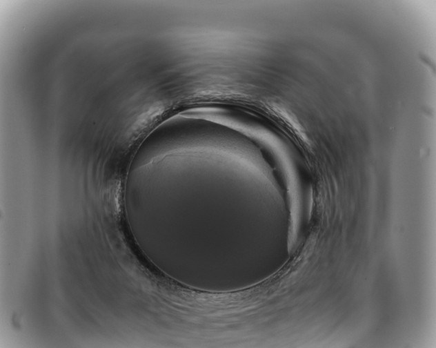 X0000094930023200711291344