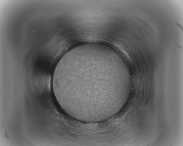 X0000094930024200711291344