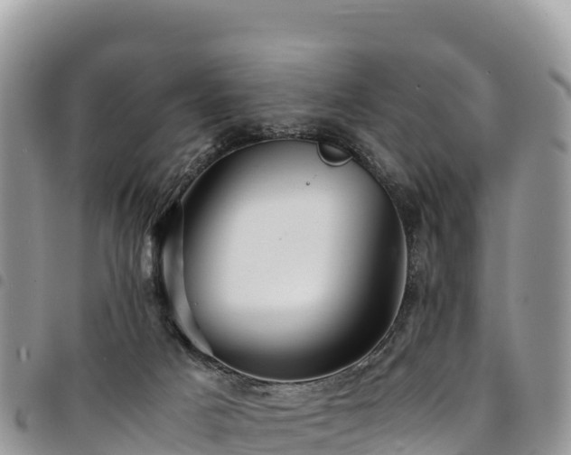 X0000094930025200711291344