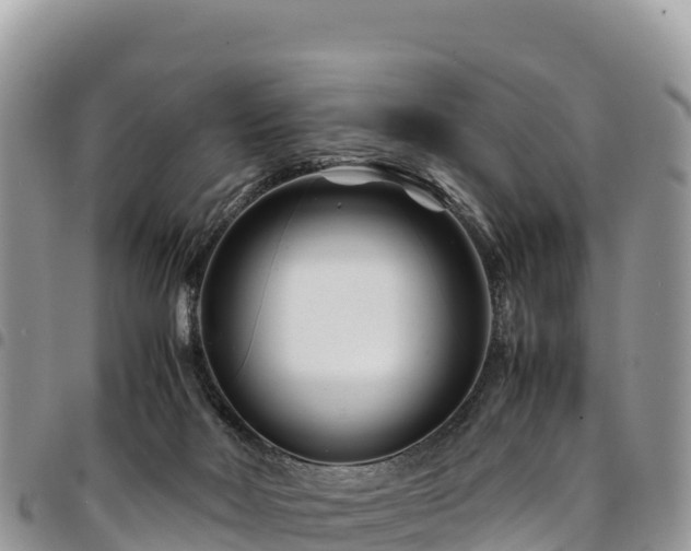 X0000094930026200711291344