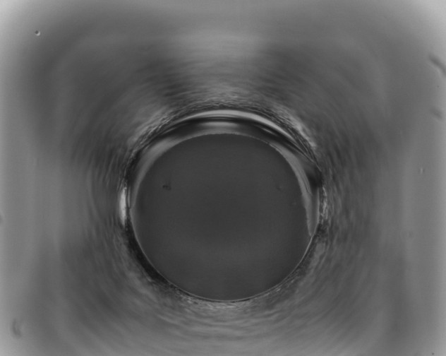 X0000094930027200711291344