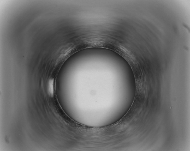 X0000094930028200711291344