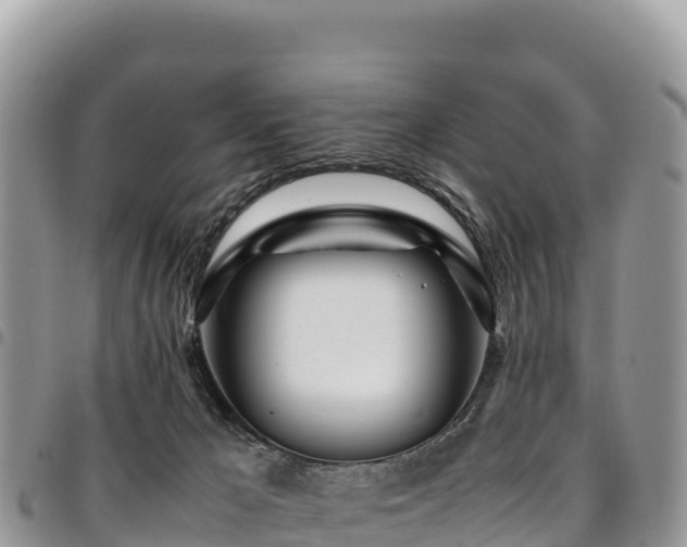 X0000094930029200711291344