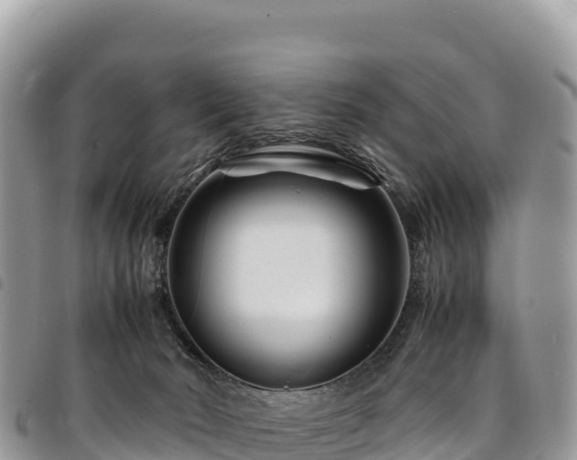 X0000094930030200711291344