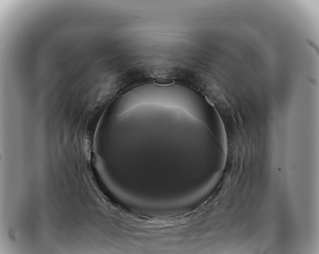 X0000094930031200711291344