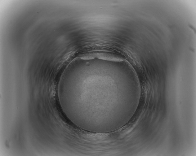 X0000094930032200711291344