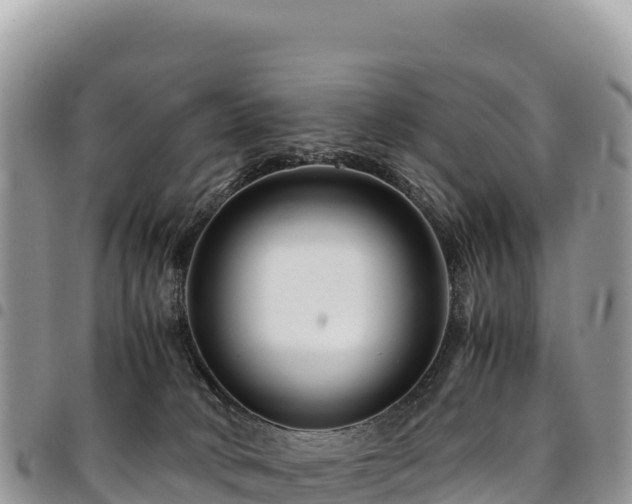 X0000094930034200711291344