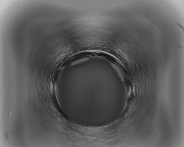 X0000094930039200711291344