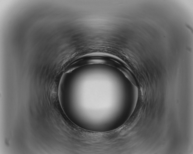 X0000094930040200711291344
