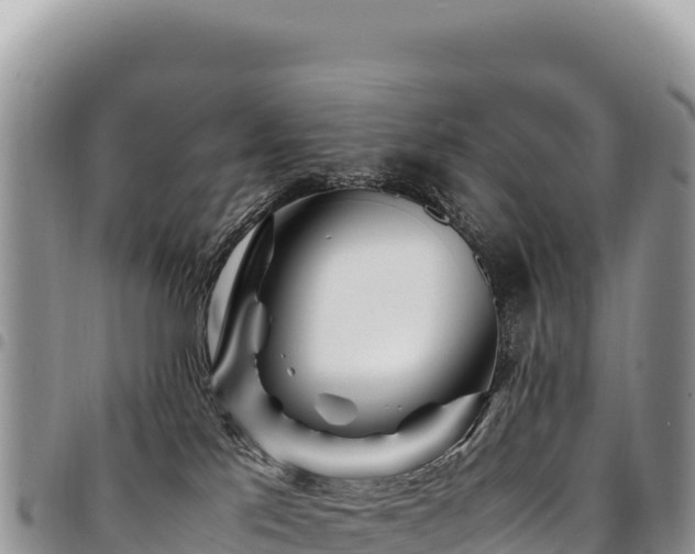 X0000094930041200711291344