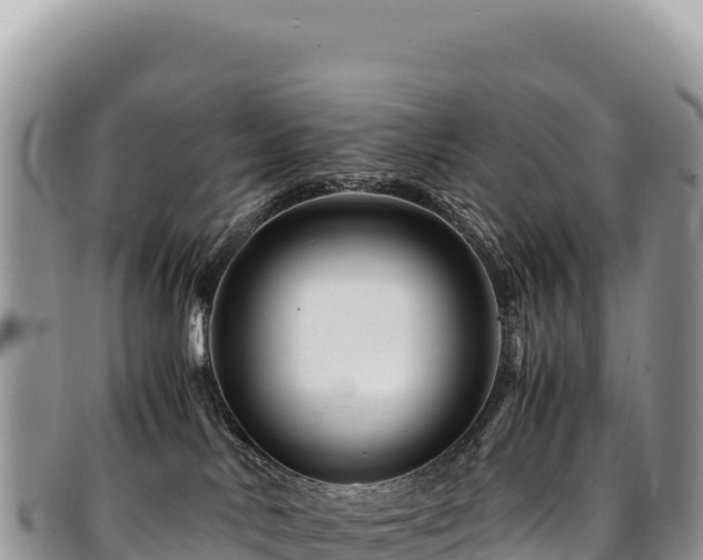 X0000094930042200711291344