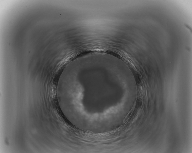X0000094930043200711291344