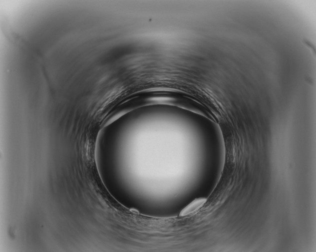 X0000094930044200711291344