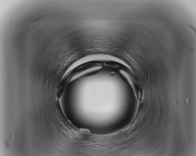X0000094930045200711291344