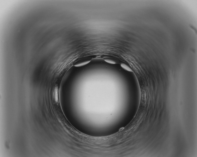 X0000094930046200711291344