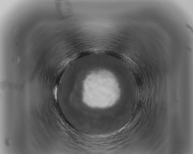 X0000094930047200711291344