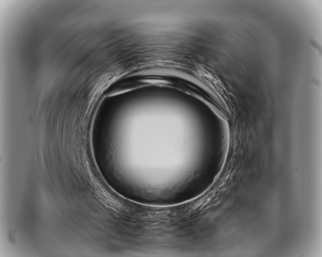 X0000094930049200711291343