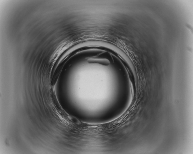 X0000094930050200711291343