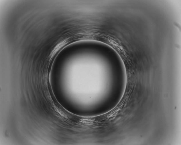 X0000094930051200711291343