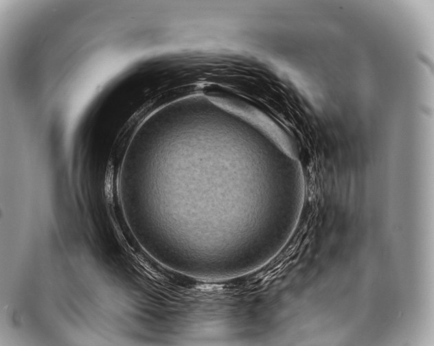 X0000094930052200711291343