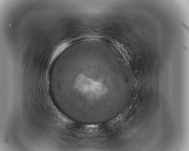 X0000094930053200711291343