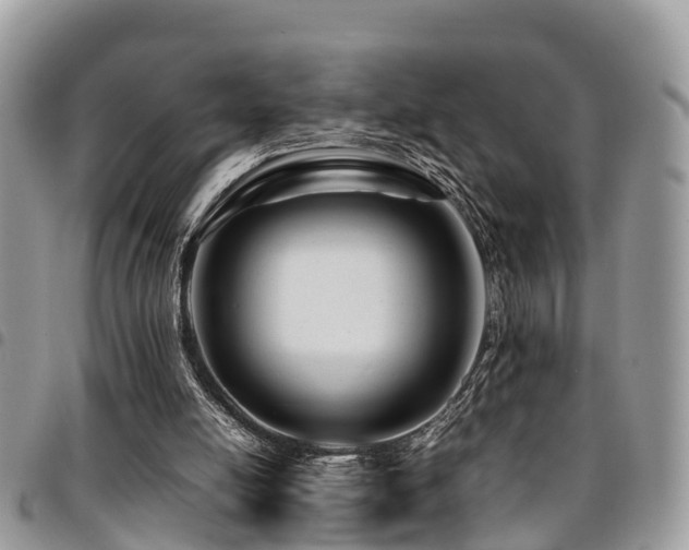 X0000094930054200711291343